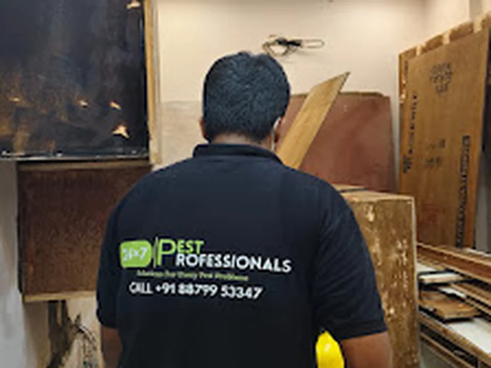 24×7 PEST PROFESSIONALS