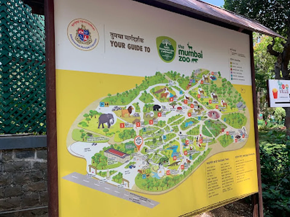 Animal Information Board