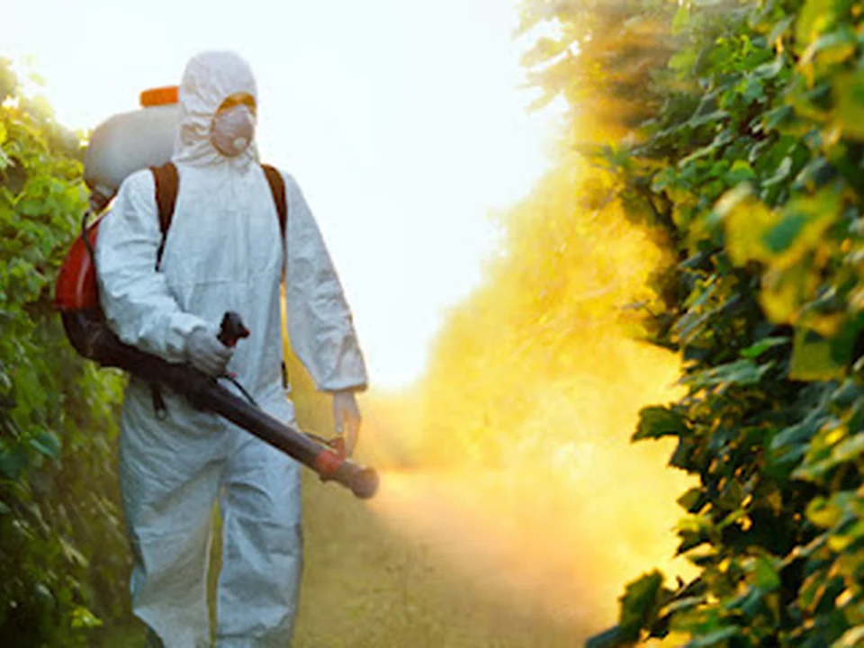 Ankita Pest Control Services (Mahim)
