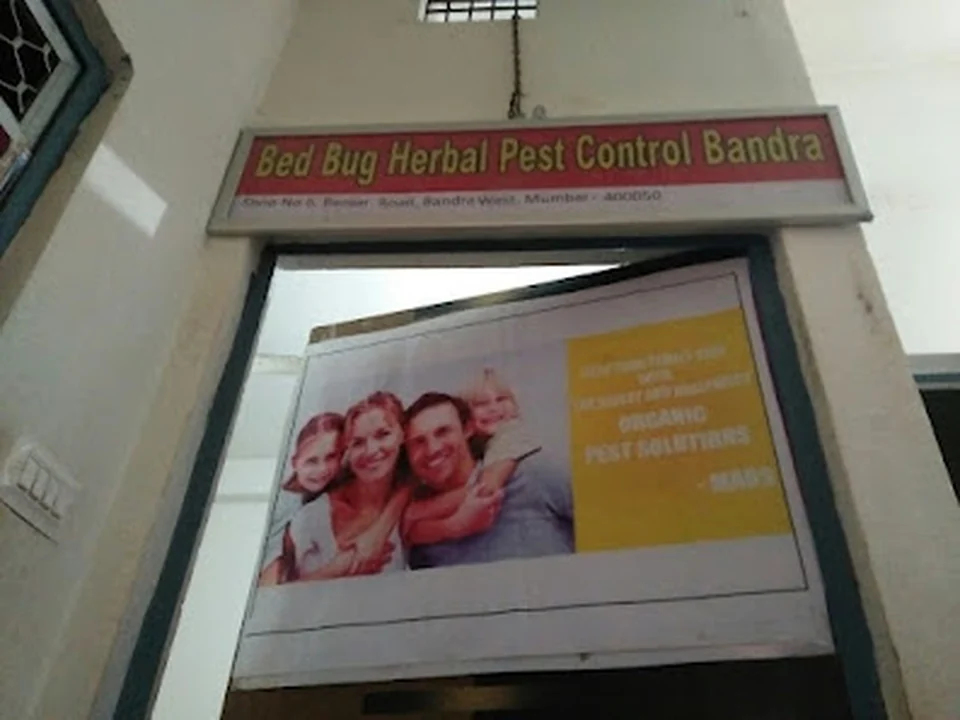 Bed Bug Herbal Pest Control Bandra