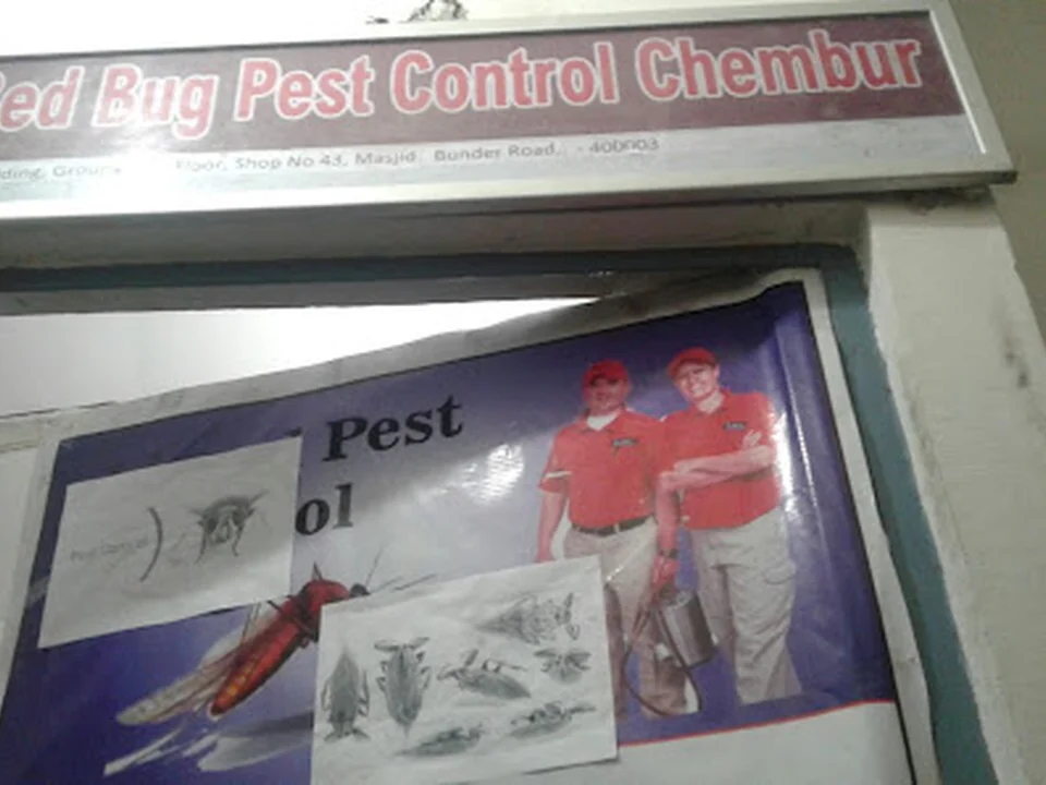 Bed Bug Pest Control Chembur