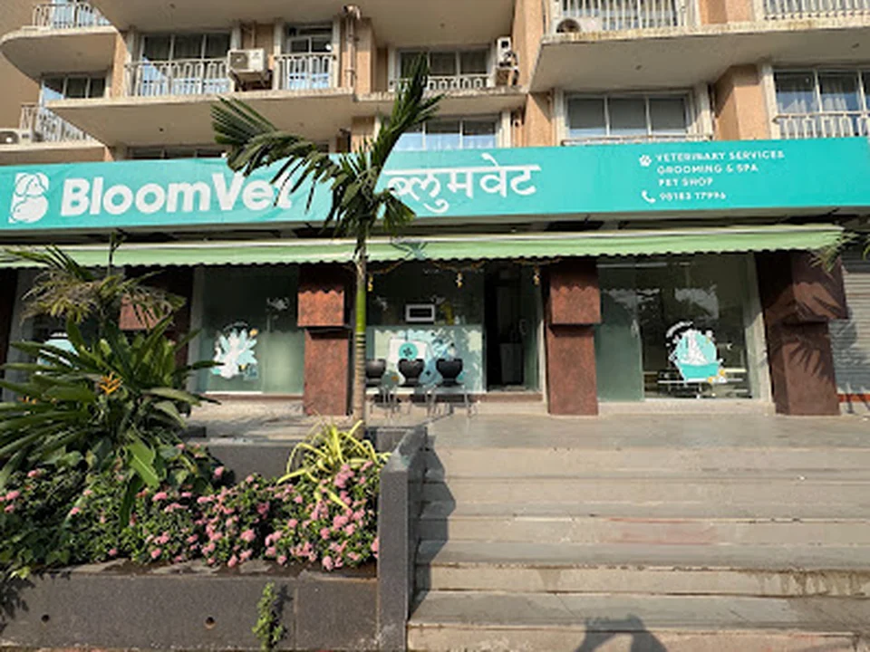 BloomVet