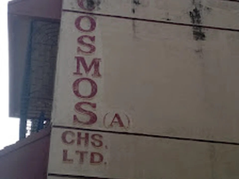Cosmos Society