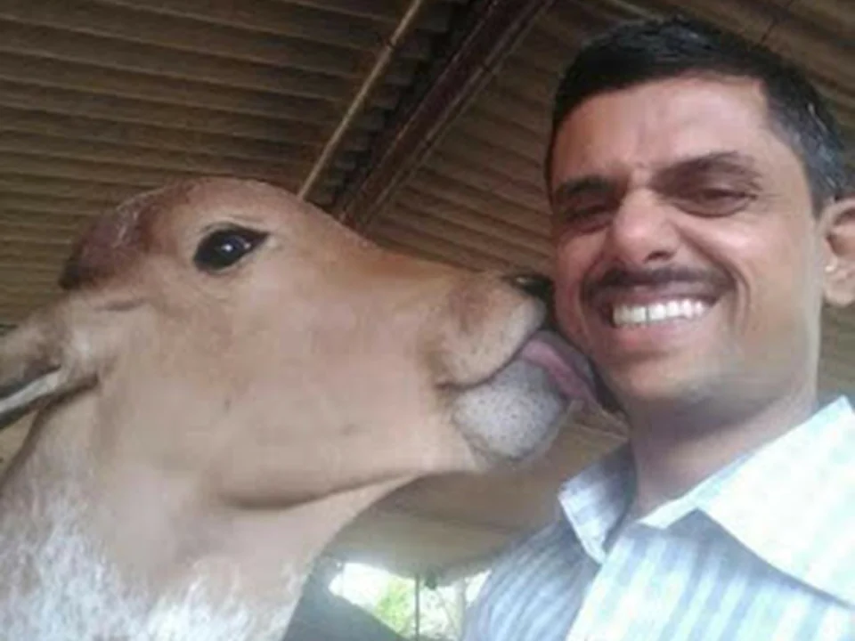 Dhananjay Naturals A2 Milk , Gir Cows Milk , Ghee Navi Mumbai, desi store