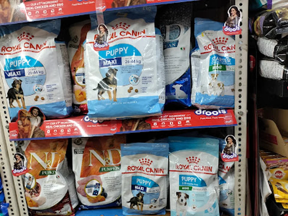Dog Shop India (also provides cat stay)