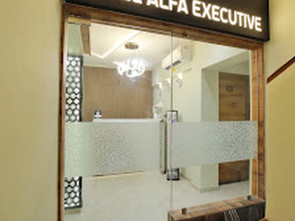Hotel Alfa Executive