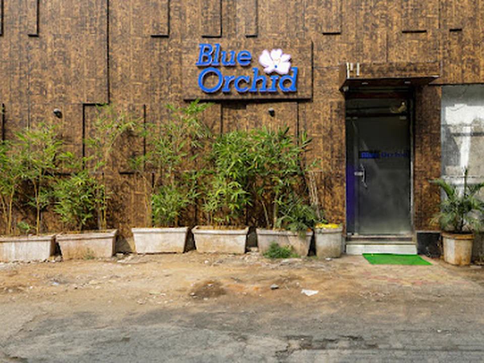 Hotel Blue Orchids (Marol)