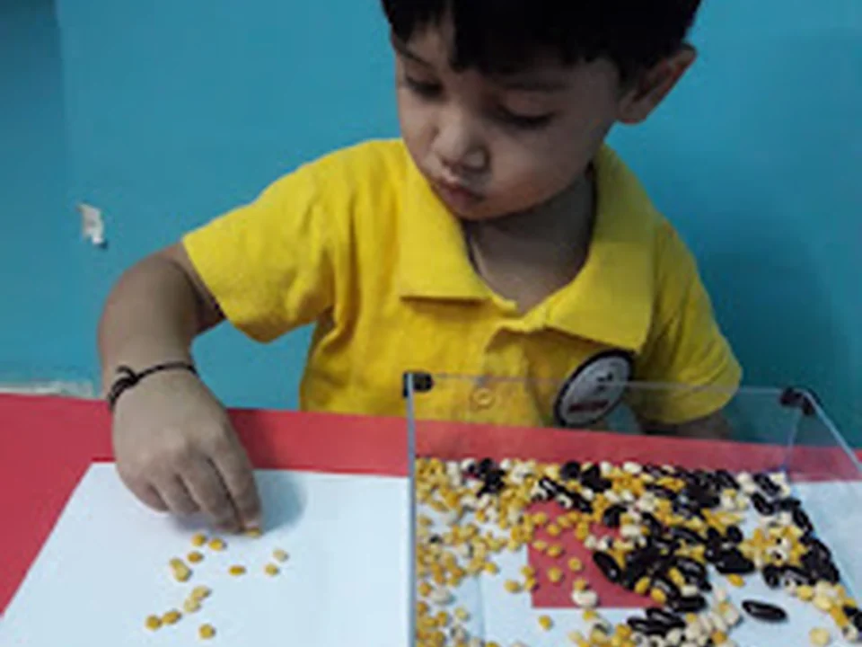 Kidzee - Panvel