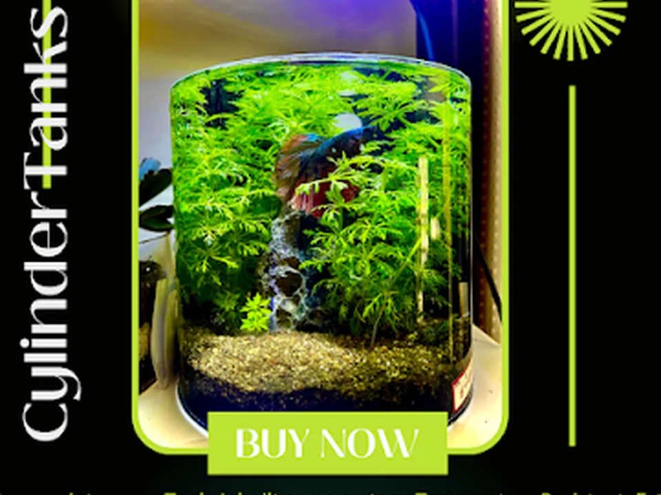 KNK aquariums