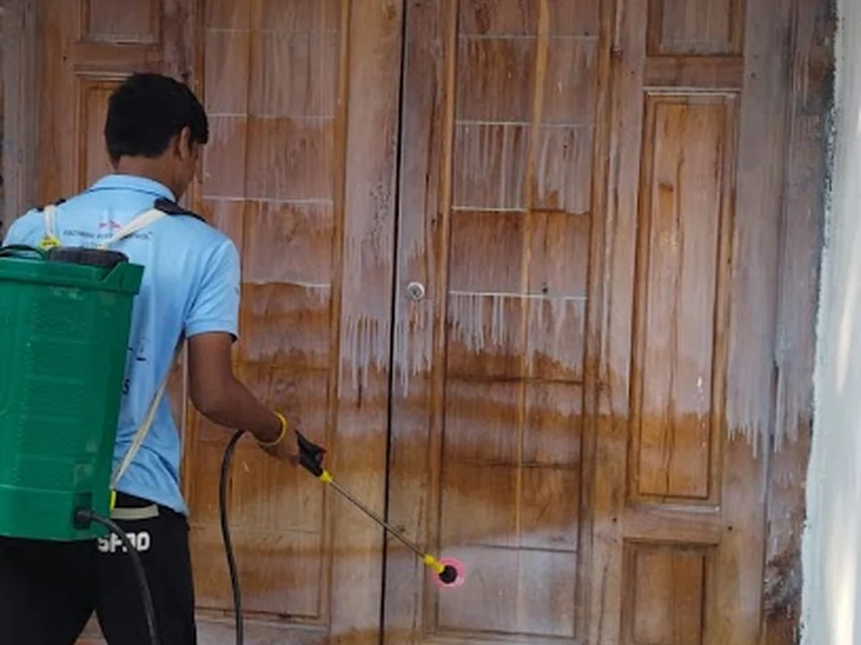 Padmini Pest Control