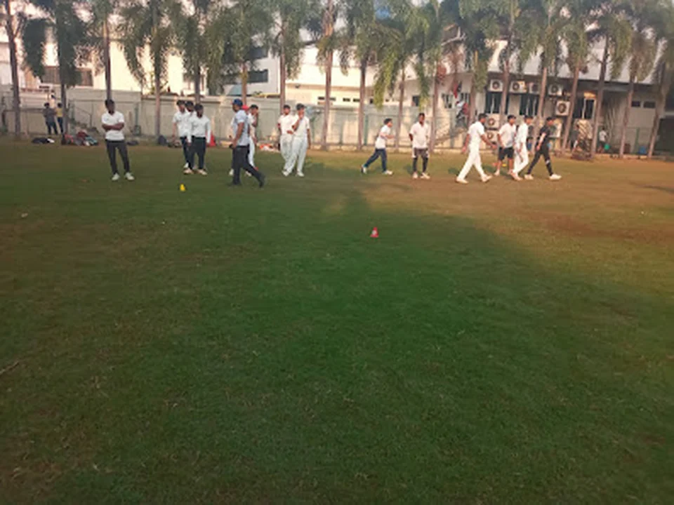 Pulse Cricket Academy