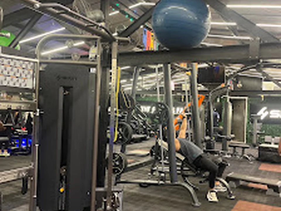 Regius_The fitness Factory NX
