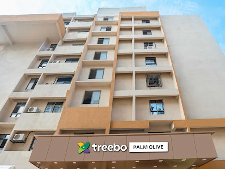 Treebo Palm Olive