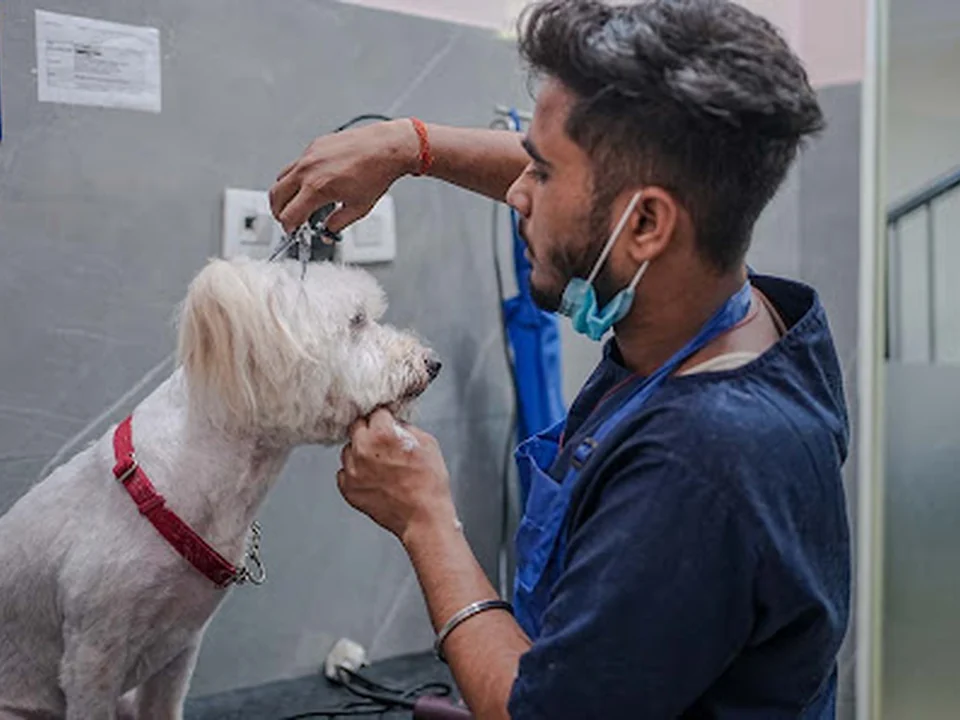 Vetic Pet Clinic Santacruz