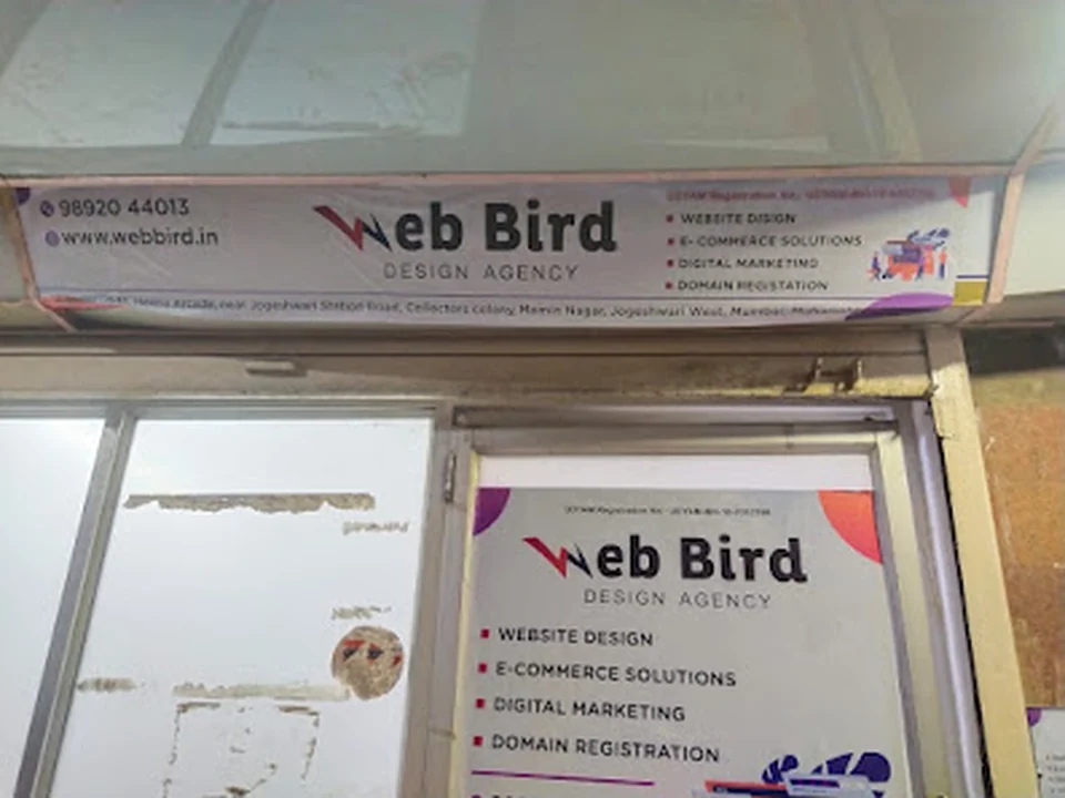 Foto de Web Bird