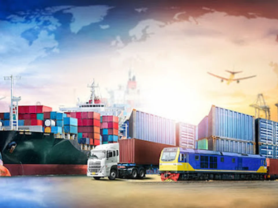 Web Designer India