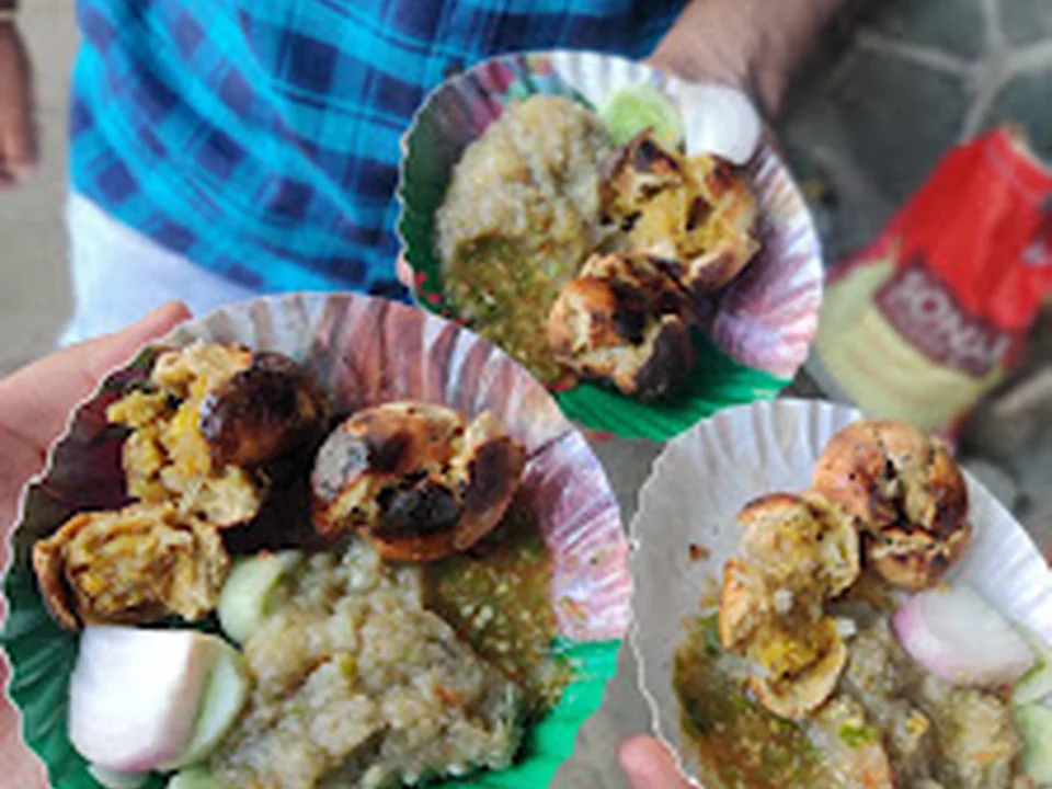 Yogesh Litti Chokha