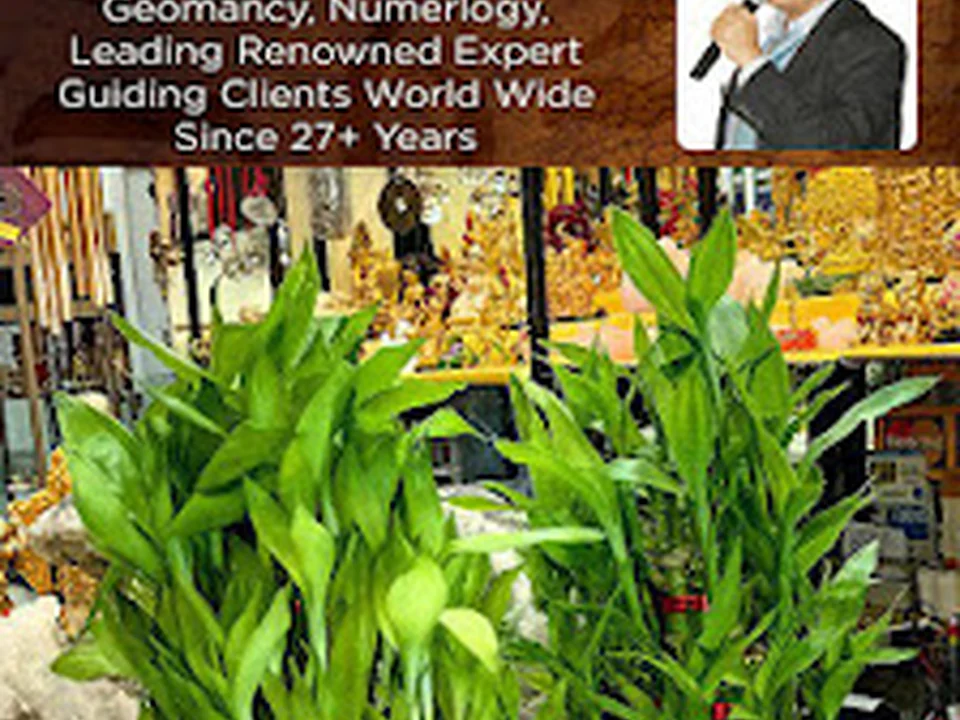 Dr. Kalania – Vastu Consultant, Feng Shui Expert, Geomancy Master & Crystal Healing Shop, Mumbai