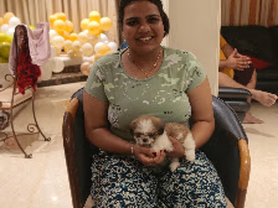 Aarav pets kennel and top breeder, Mumbai