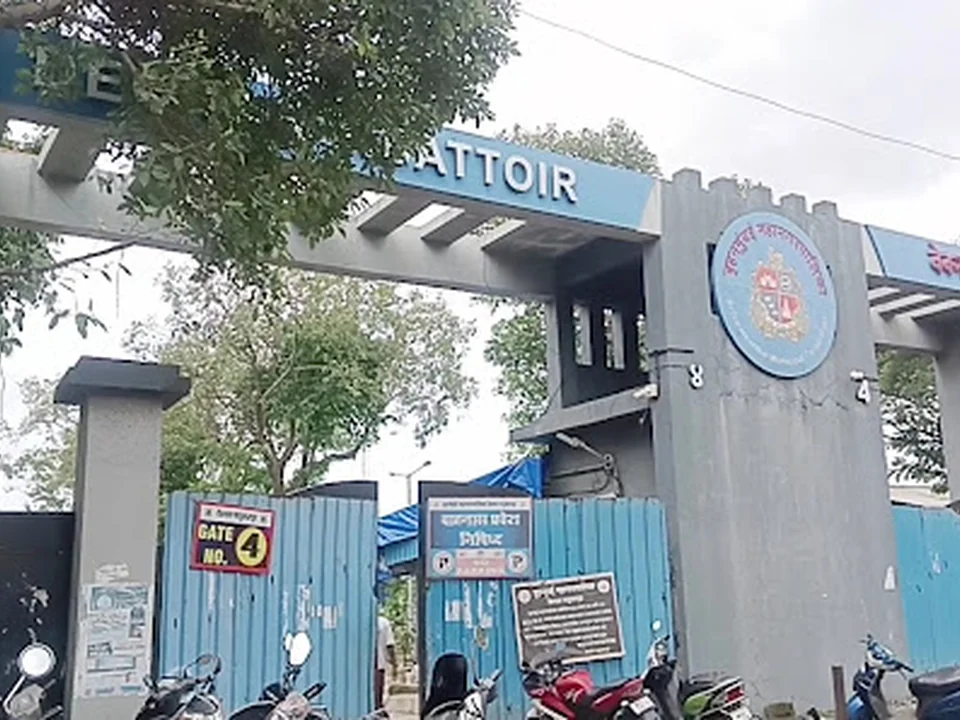 Deonar Bakra Mandi, MeatMade, Mumbai