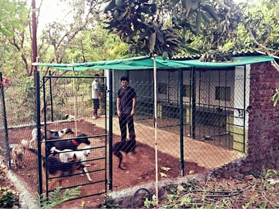 Nisarga Mitra Farm - Farm Tourism, Pet Boarding, Farmers Training Center, School Field Trips, Mumbai