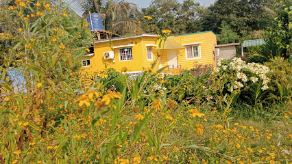 My Nest Agro Farm - Karnala