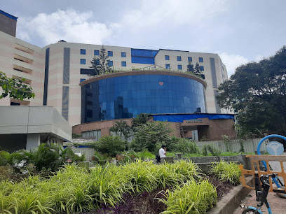 Asian Heart Institute