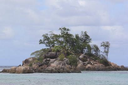 Holidays Box - An Out of the Box Ventures Company