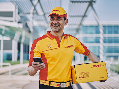 Reliable International Courier Services