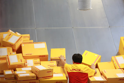 Airborne International Courier Services