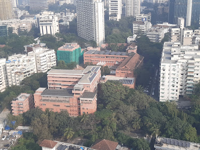 Fashion Design - Sophia