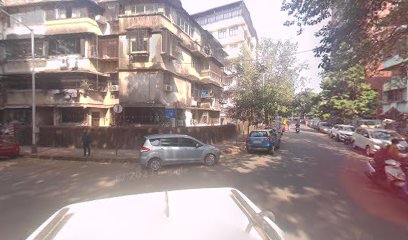 Trinity International School