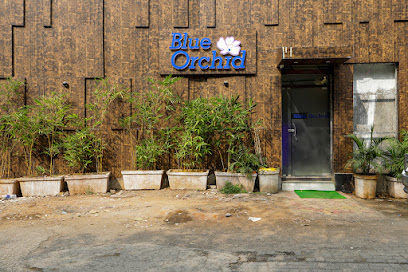 Hotel Blue Orchids (Marol)