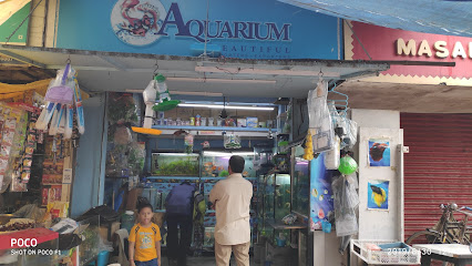 Aquarium Beautiful