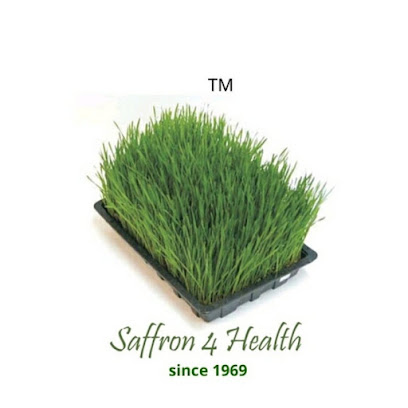 Saffron Naturopath Clinic