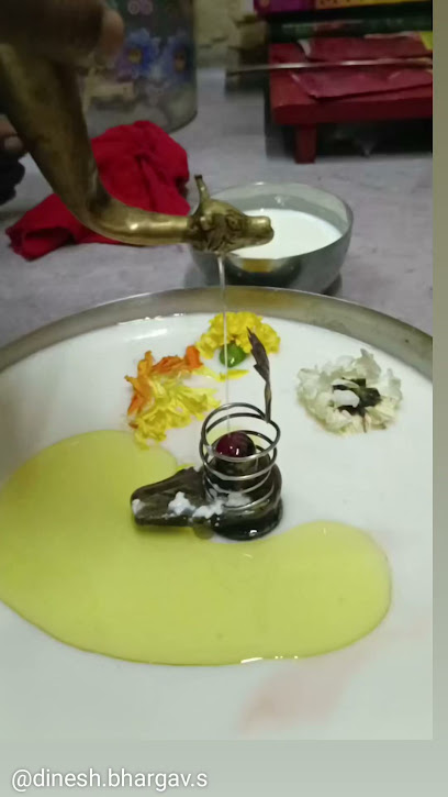 Bhadrakali astrologer in Nerul Navi Mumbai Pandit for puja & kundli, horoscope, palmistry, vastu in Navi Mumbai